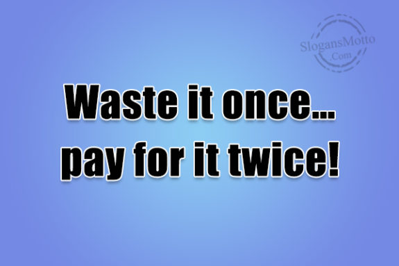 waste-it-once-pay-for-it-twice
