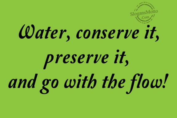 Water, conserve it, preserve it, and go with the flow!