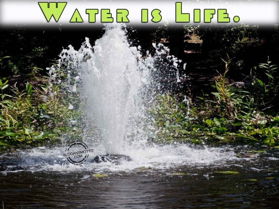 Water is Life