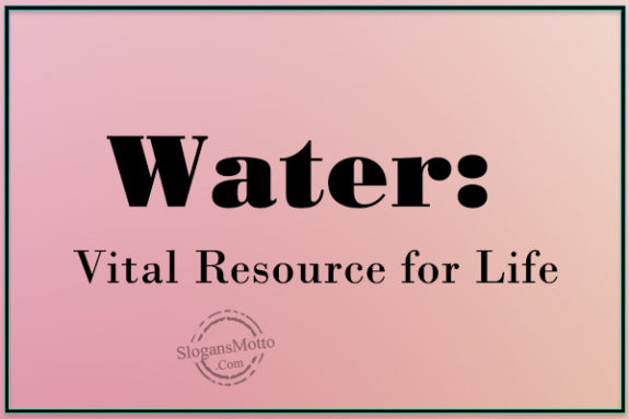 Water: Vital Resource for Life