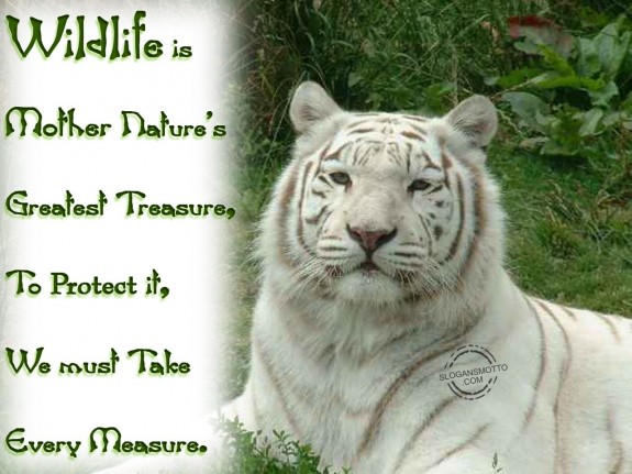 Wildlife is Mother Nature’s greatest treasure, To protect it, we must take every measure