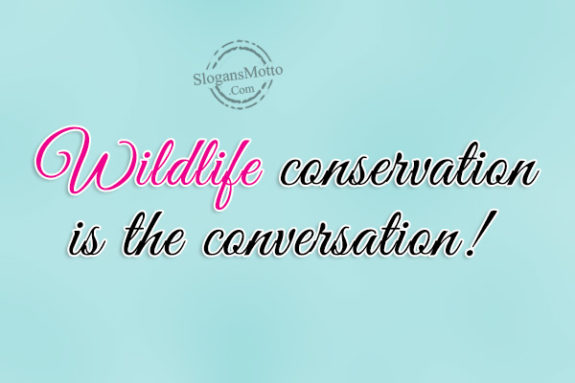 wildllife-conservation