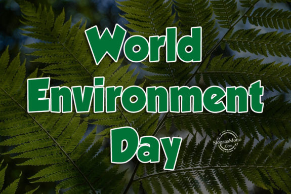 worold-environment-day