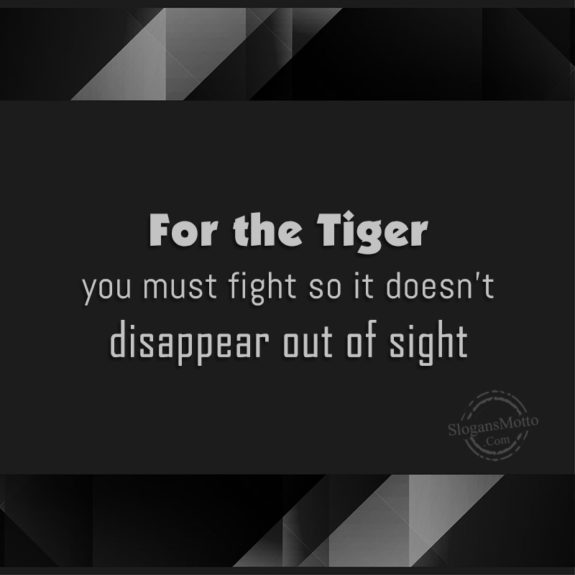  You Must Fight So It Doesnt Disappear