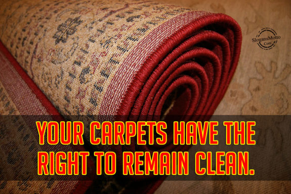 Your carpets have the right to remain clean.