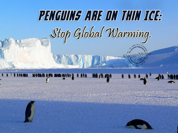 penguins-are-on-thin-ice